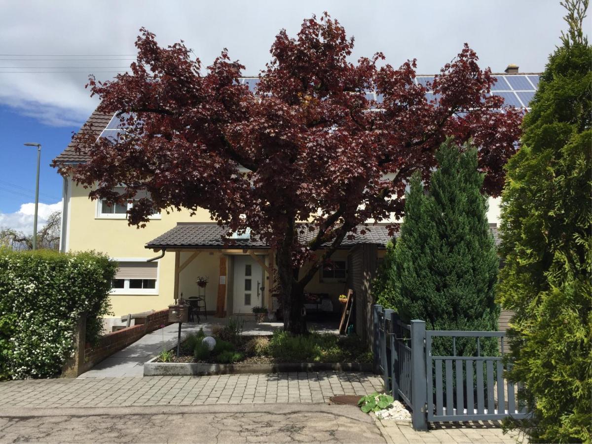 Apartmentvermietung Ingrid Bolkart - Landleben 6 Apartment Illertissen